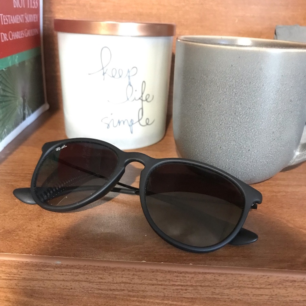 Ray Ban Erika Sunglasses - Matte Black
